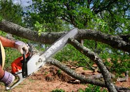 How Our Tree Care Process Works  in  Highlands, TX